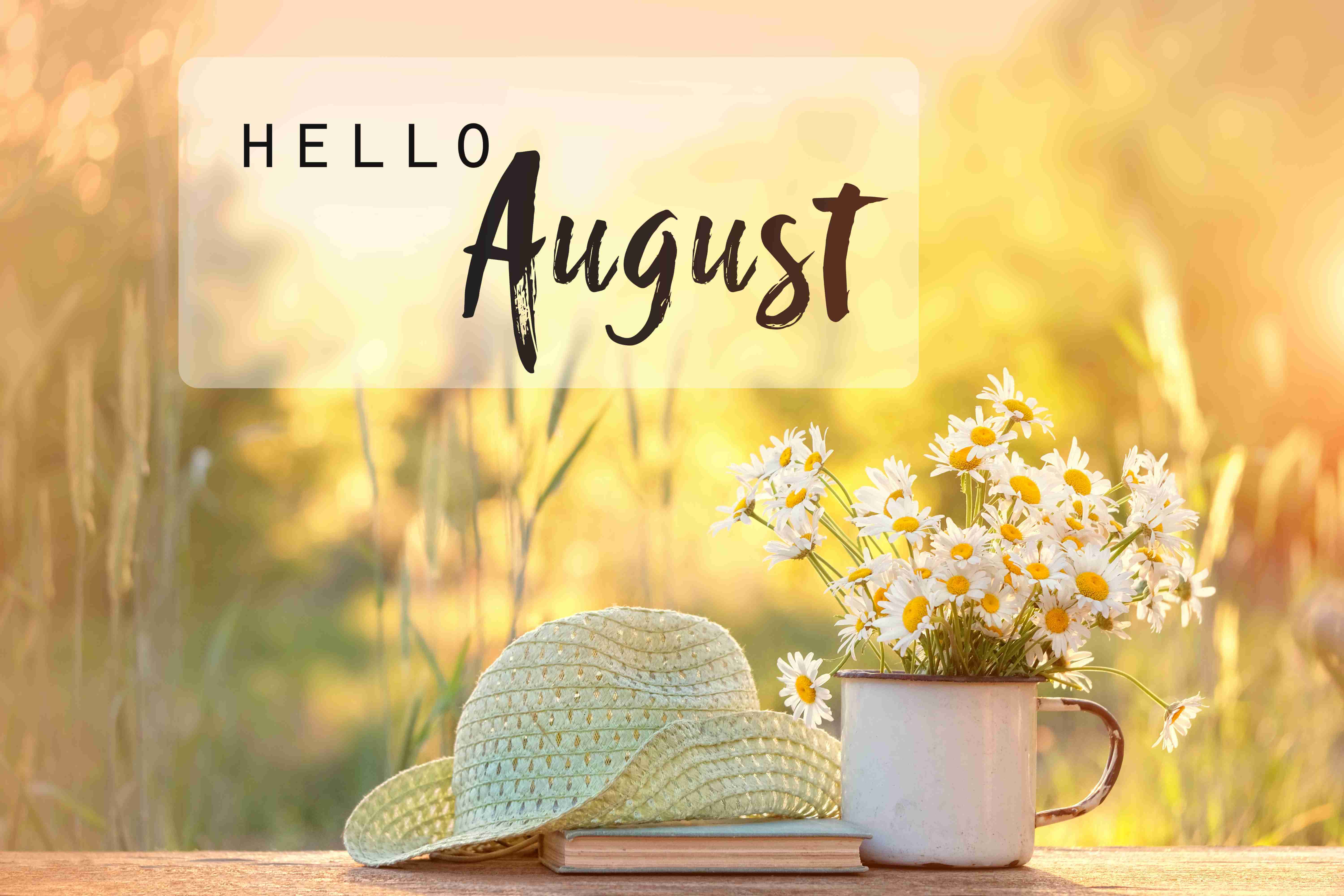 Hello waiting. Хелло август. Hello август картинки. Hello August обои. Hello August картинки красивые.