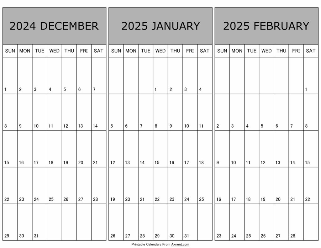 Calendar December 2024 January February 2025