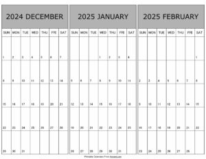 Calendar December 2024 January February 2025