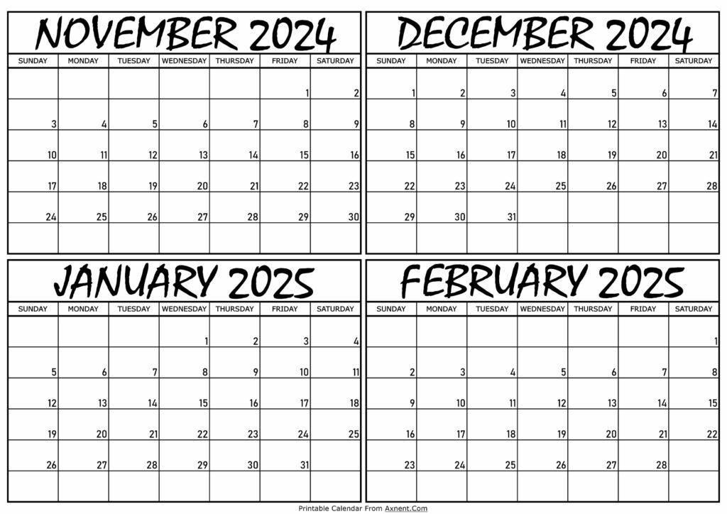 Calendar November 2024 to February 2025