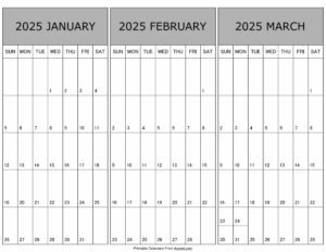 Calendar Janaury February March 2025