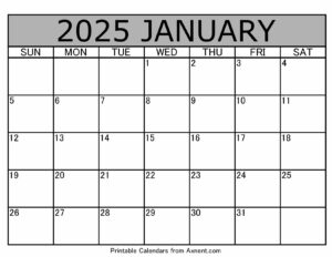 January 2025 Calendar Template