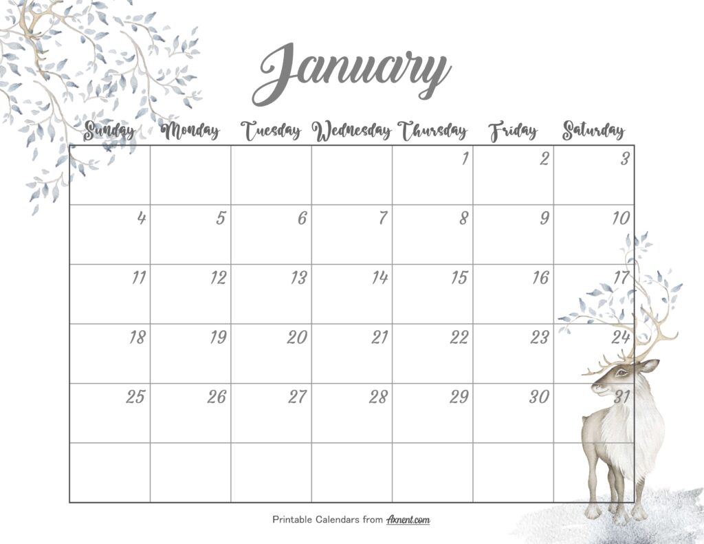 Cute January Calendar 2026